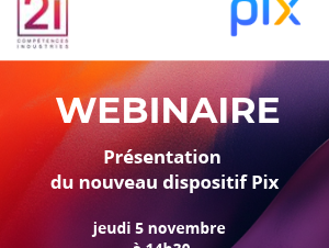 Pix webinaire